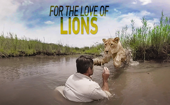 GoPro VR: For the Love of Lions