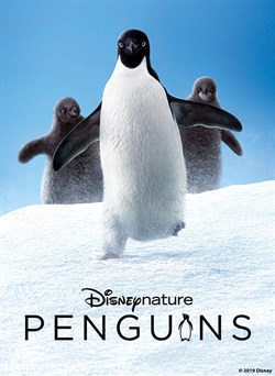 Buy Disneynature Penguins from Microsoft.com