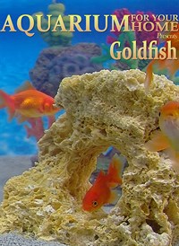 Aquarium for your Home: Goldfish