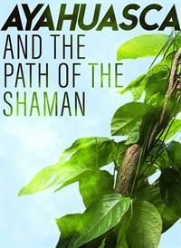 Ayahuasca and The Path of the Shaman
