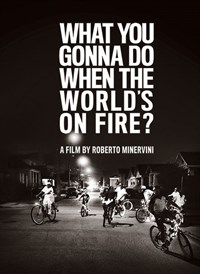 What You Gonna Do When the World's on Fire?