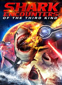 Shark Encounters of The Third Kind