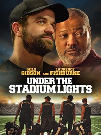 Under The Stadium Lights