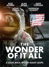 The Wonder of it All