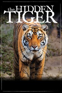 The Hidden Tiger