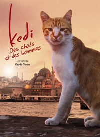 Kedi, des chats et des hommes