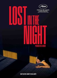 Lost in the night