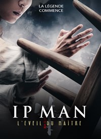 Ip Man : L'éveil du maître