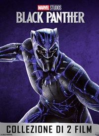 Black Panther 2-Movie Collection