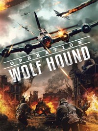Operation Wolf Hound