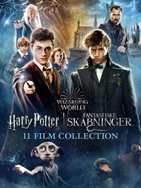 Wizarding World / Harry Potter / Fantastic Beasts / 11 Film Collection