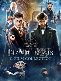 Wizarding World 11-Film Collection