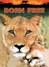 Born Free (1965)