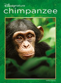 Disneynature: Chimpanzee