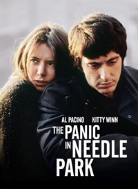 The Panic In Needle Park
