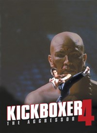 Kickboxer 4: The Aggressor