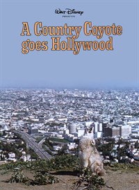 A Country Coyote Goes Hollywood