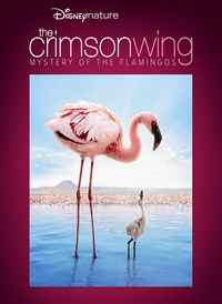 Disneynature: The Crimson Wing: Mystery of the Flamingos