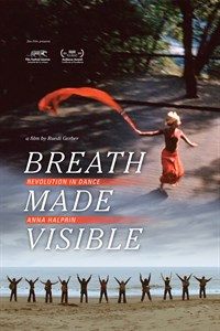 Breath Made Visible