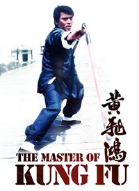 The Master Of Kung Fu