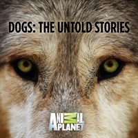 Dogs: The Untold Stories