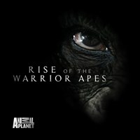 Rise of the Warrior Apes