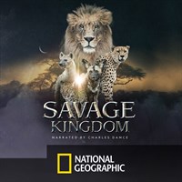 Savage Kingdom