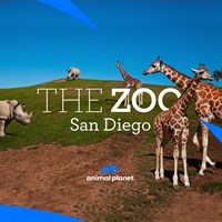 The Zoo: San Diego