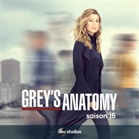 Grey's Anatomy (dubbed)