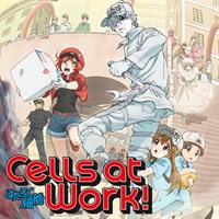 Cells at Work! (Original Japanese Version)