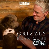 Grizzly Bear Cubs & Me
