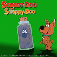 The Scooby & Scrappy Doo Show