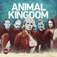 Animal Kingdom: Seasons 1-4