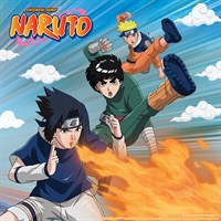 Naruto (English)