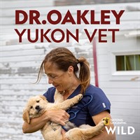 Dr. Oakley, Yukon Vet
