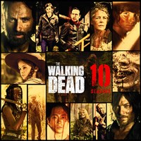The Walking Dead - Seasons 1-10