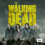 The Walking Dead Season 11A Key Art Puzzle – The Walking Dead Shop