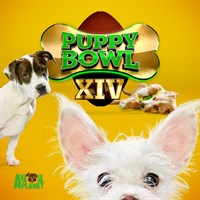Puppy Bowl