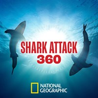 Shark Attack 360