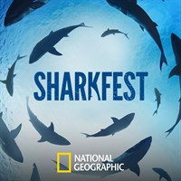 Sharkfest 2024