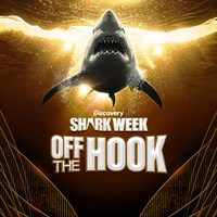Shark Week: Off the Hook