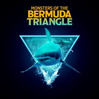 Monsters of the Bermuda Triangle