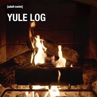 Adult Swim Yule Log (aka The Fireplace)