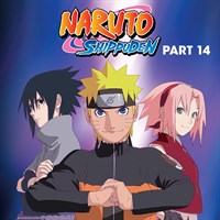 Naruto Shippuden (English HD Sets)