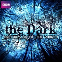 The Dark: Nature's Nighttime World