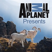 Animal Planet Presents