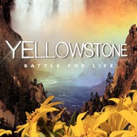 Buy Yellowstone, Season 1 - Microsoft Store