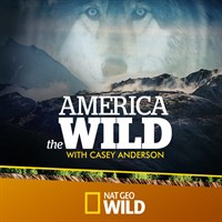 America The Wild