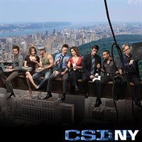 CSI: NY