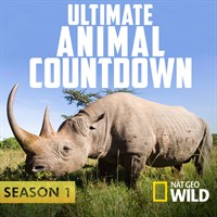 Ultimate Animal Countdown